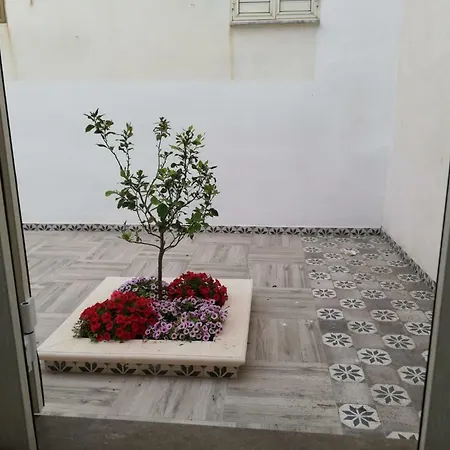 L'argonauta Casa de Férias *